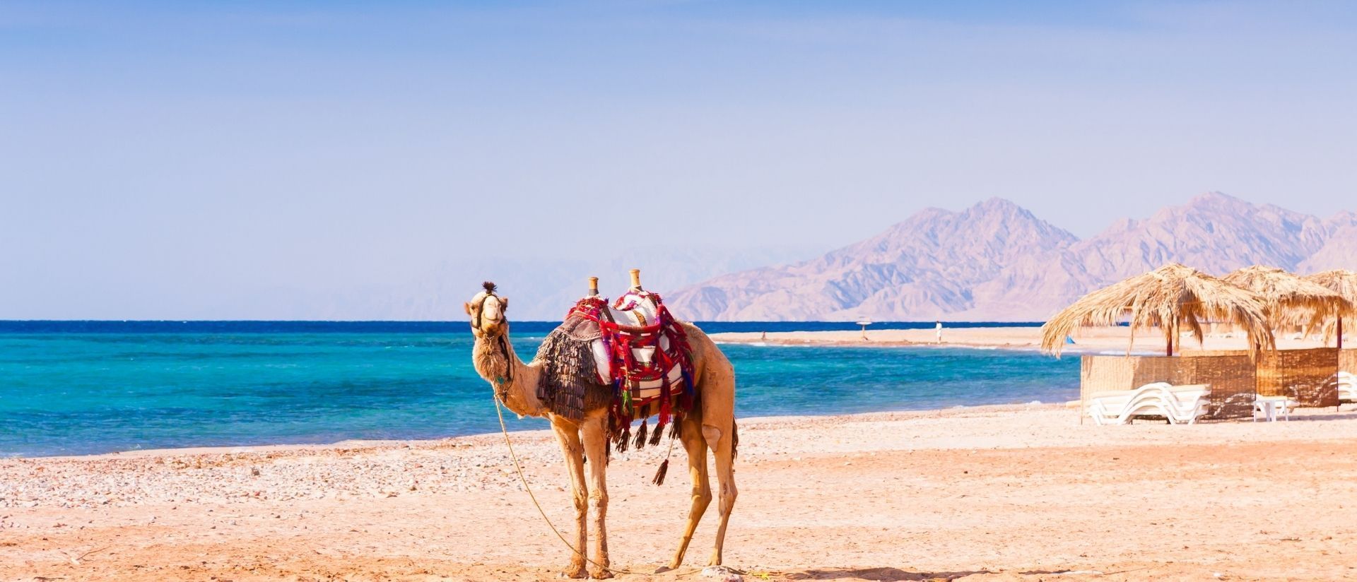 Отдых в Египте с отелями «всё включено» на Красном море