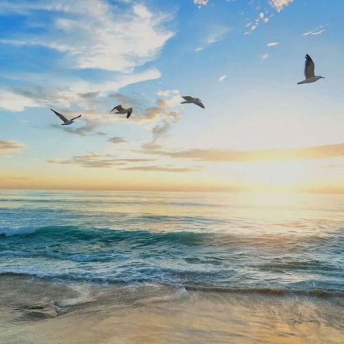 Vacanță în Bulgaria – stațiuni la Marea Neagră și hoteluri populare