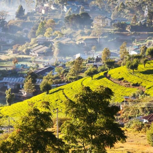 Vacanță în Sri Lanka – plaje tropicale, natură și temple