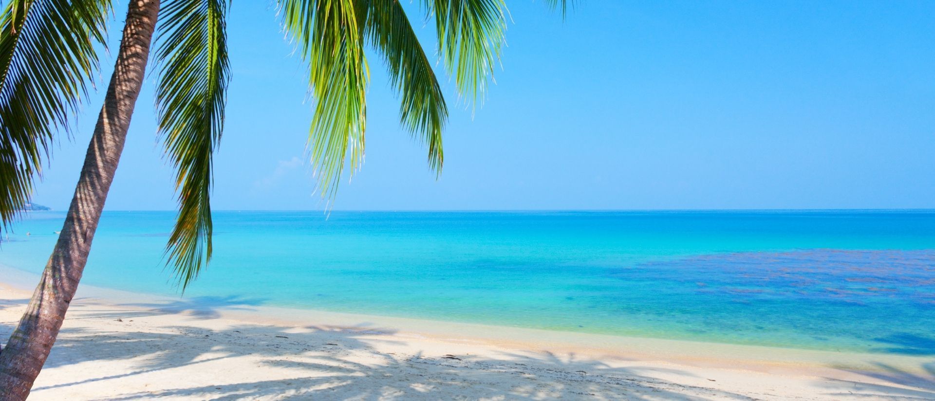 Informații utile pentru vacanța în Sri Lanka