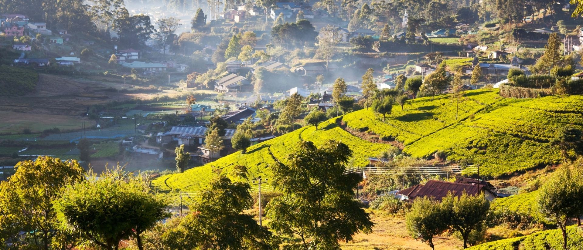Vacanță în Sri Lanka – plaje tropicale, natură și temple