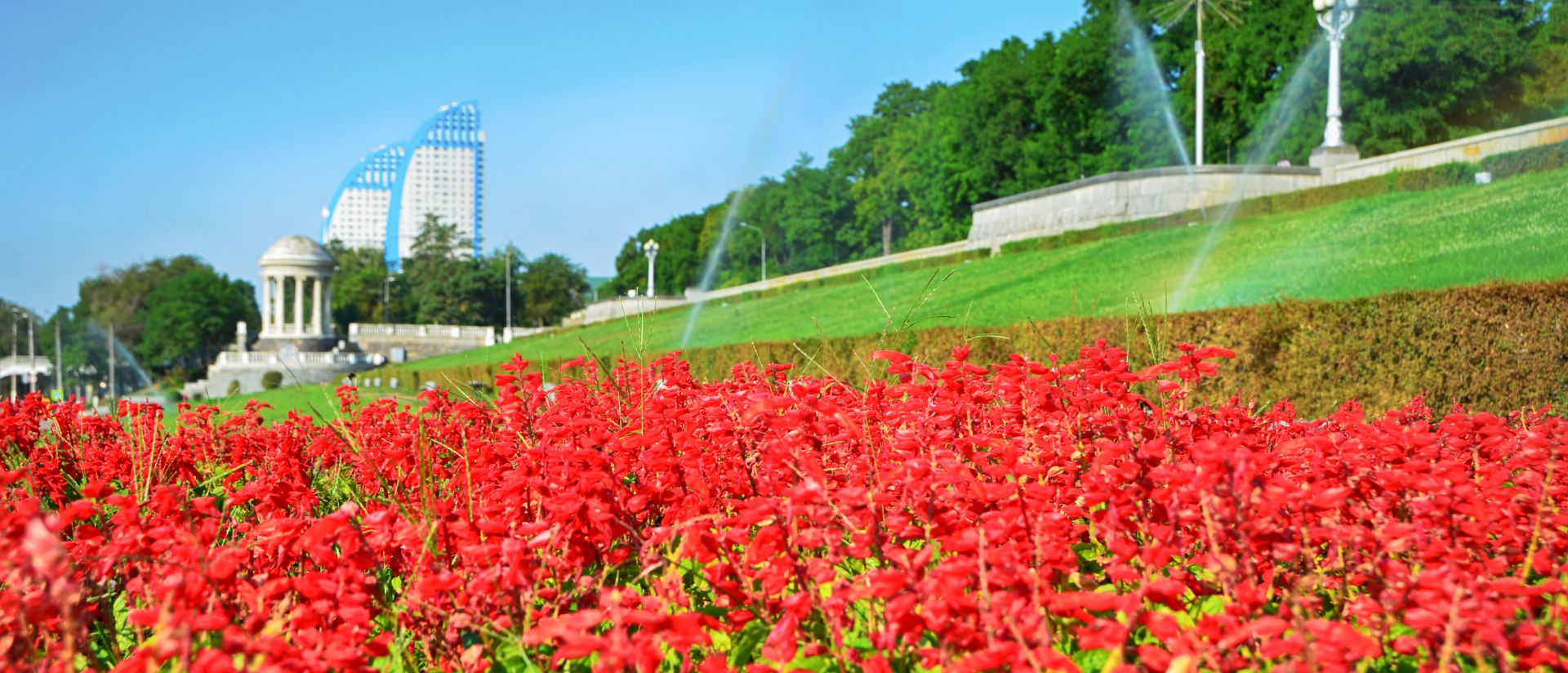 Zboruri spre Volgograd – Cele mai bune tarife